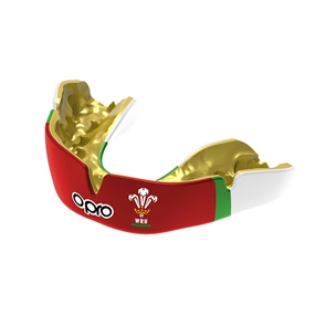 102528003-4-wales-wru-mouthguard.jpg