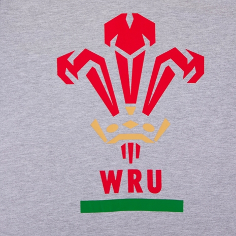 Macron Wales Mens Feathers Tee - Grey - Badge
