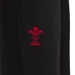 Wales Mens Training Contact Pants - Black 2023 - Wales Logo 