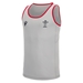 Wales Mens Training Gym Vest - Grey 2023 - Front 