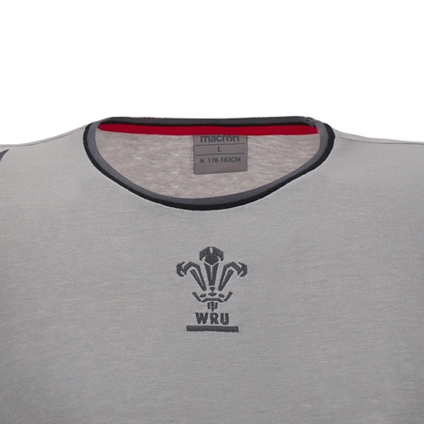 Wales Kids Leisure Cotton Tee - Grey 2023 - Wales Logo