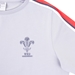 Wales Womens Leisure Cotton Tee - Grey 2023 - Wales Logo 