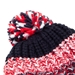 eng-pom-pom-beanie-pompom.jpg3.jpeg 