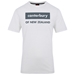 Canterbury Mens Cotton Logo Tee - Future Utility Marl - Front 