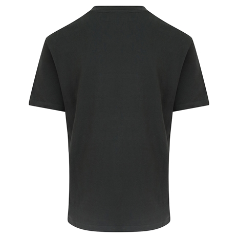 Mens Rugby World Cup 2023 Webb Ellis Stripe Tee - Black Haze - B