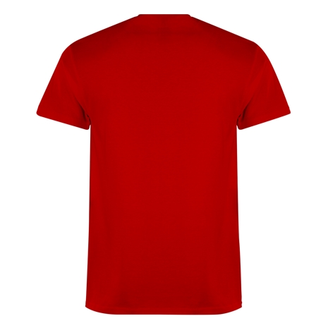 wales-classic-t-shirt-red-back.jpg