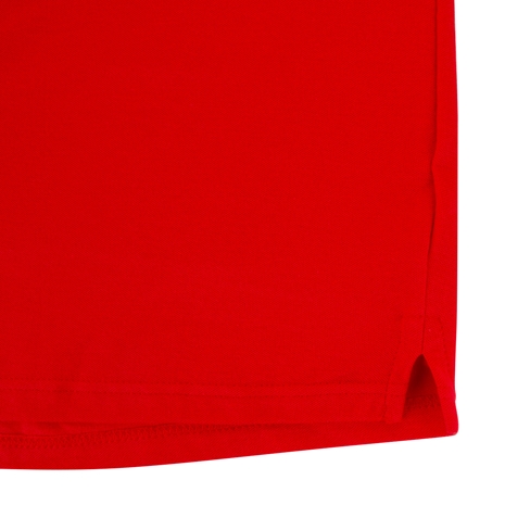 Wales Classic Polo Red - Hem
