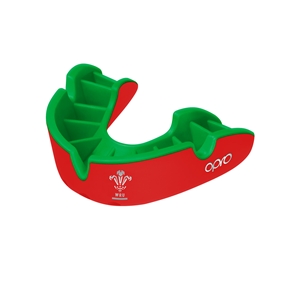 opro-silver-mouthguard-wru-main.jpg