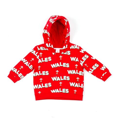 Brecrest Babies Wales Hoodie - Red - Front Brecrest Babies Wales Hoodie - Red - Front