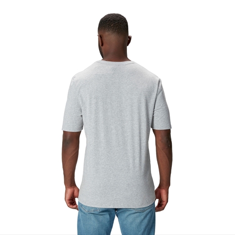 British and Irish Lions Mens Monument T-Shirt Grey - Model Back