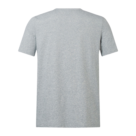 British and Irish Lions Mens Monument T-Shirt Grey - Back