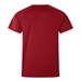 British and Irish Lions Adults Rugby Shirt Red - Back  British and Irish Lions Adults Rugby Shirt Red - Back