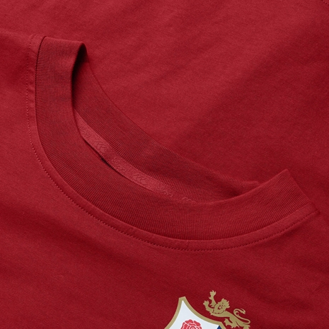 British and Irish Lions Womens Cotton T-Shirt Red - Neck