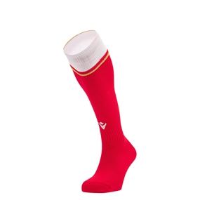 Wales Mens Home Socks - 2025 - Front