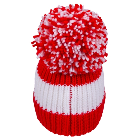 Big Bobble 'What the Puck' Beanie Hat - Back