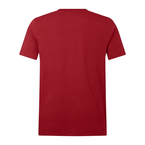 British and Irish Lions Mens Cotton T-Shirt Red - Back
