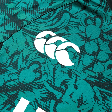 British and Irish Lions Mens Super Light Training T-Shirt Green - Canterbury