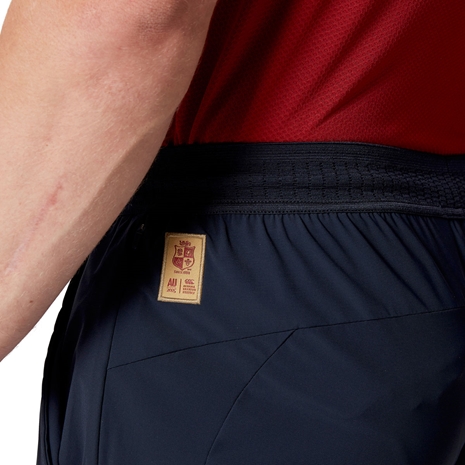 British and Irish Lions Mens Everest Pant - Navy - Waist