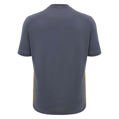 Wales Mens Travel Cotton T-Shirt - Grey 2025 - Back