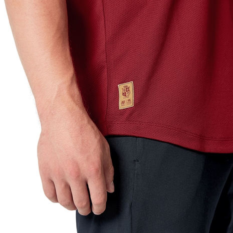 British and Irish Lions Mens Polo Shirt Red - Model Hem