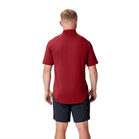 British and Irish Lions Mens Polo Shirt Red - Model Back