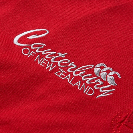 lions mens heritage rugby shirt - detail