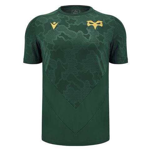 Ospreys Mens Training T-Shirt - 24/25 - Front Ospreys Mens Training T-Shirt - 24/25 - Front