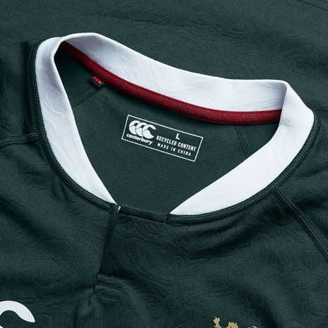 British and Irish Lions Training Jersey Green - Neck