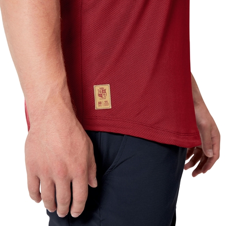 British and Irish Lions Mens Everest T-Shirt Red - Model Logo