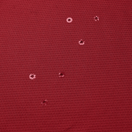 British and Irish Lions Mens Everest T-Shirt Red - Detail