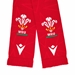 Wales Scarf - 2025 - WRU 