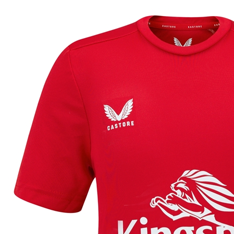 Ulster Junior Training T-Shirt 2024 - Back