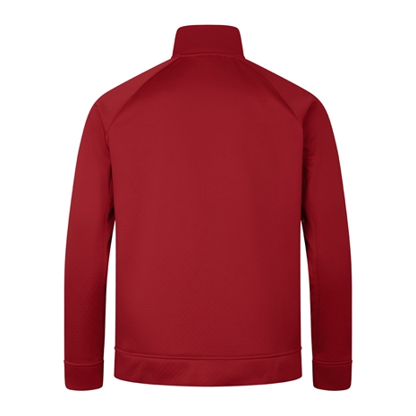 British and Irish Lions Mens 1/4 Zip Fleece Red - Back