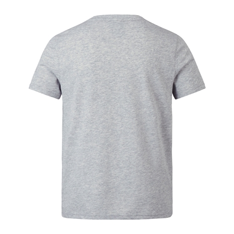 British and Irish Lions Junior Monument T-Shirt Grey - Back