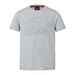 British and Irish Lions Junior Monument T-Shirt Grey - Front 