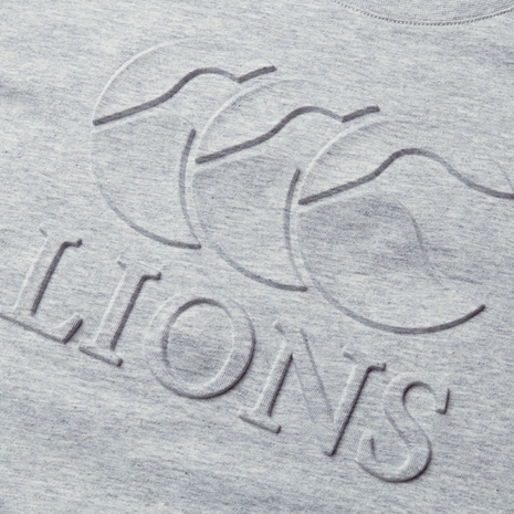 British and Irish Lions Junior Monument T-Shirt Grey - Canterbury