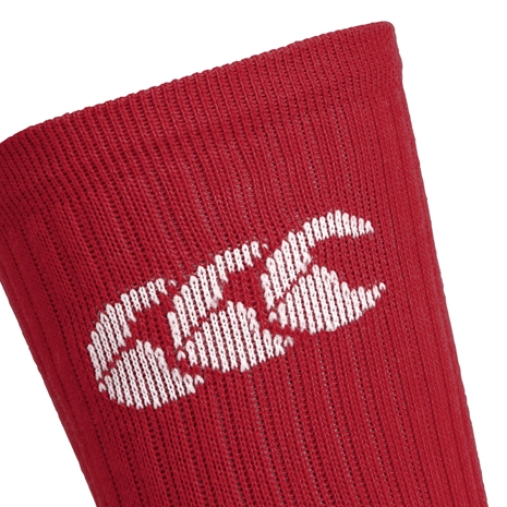 British and Irish Lions Mens Crew Training Socks Red - Side Badge