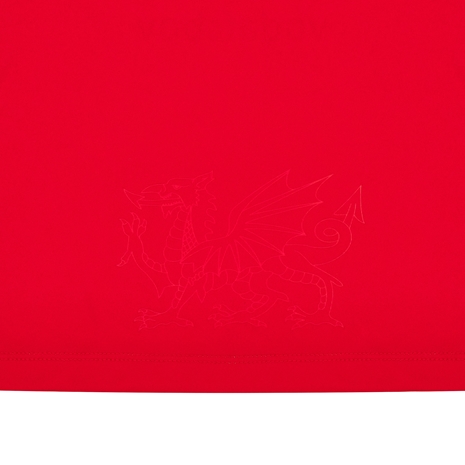 Wales Babies Home Rugby Kit - 2025 - Dragon