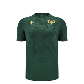 Ospreys Junior Training T-Shirt - 24/25 - Front