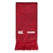 british and Irish Lions supporters scarf - back 
