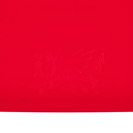 Wales Kids Home Rugby Kit - 24/25