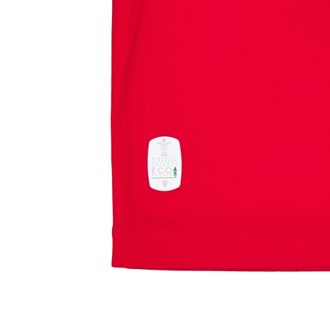 Wales Kids Home Rugby Kit - 24/25