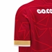 Wales Mens Home Pathway Rugby Shirt-Red 2025 - Sleeve 