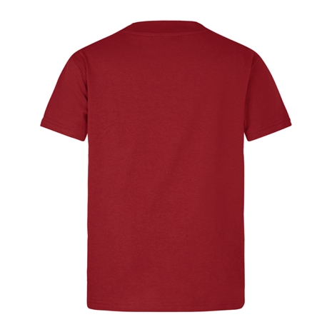 British and Irish Lions Infant Little Lions T-Shirt Red - Back