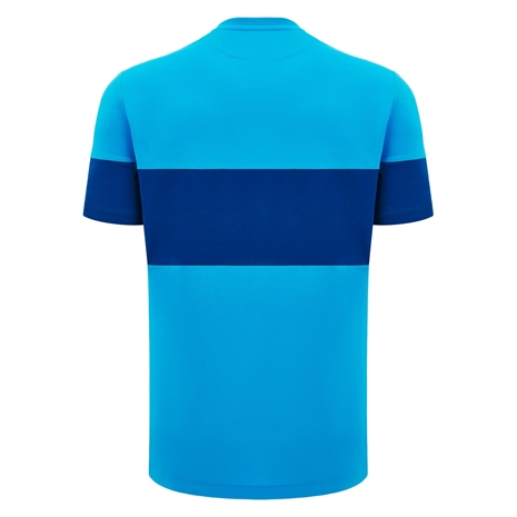 Scotland Mens Cotton T-Shirt - Sky Blue - 2025 - Back