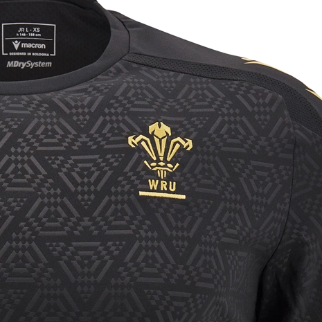 Wales Junior Training T-Shirt - Black - 2025 - WRU Logo