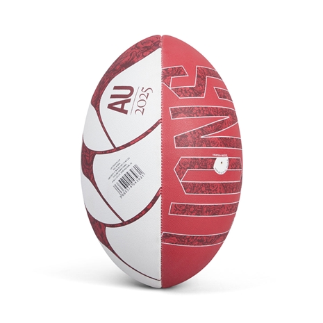 british and Irish Lions supporters ball - back
