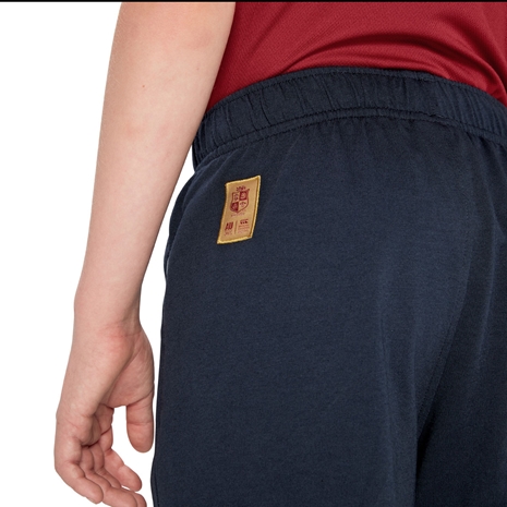 British and Irish Lions Junior Training Shorts - Model Logo