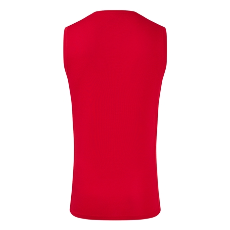 Scarlets Mens Training Vest 2024 - Back
