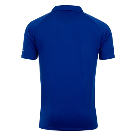 Leinster Mens Rise Pro Players Presentation Polo 24/25 - Back